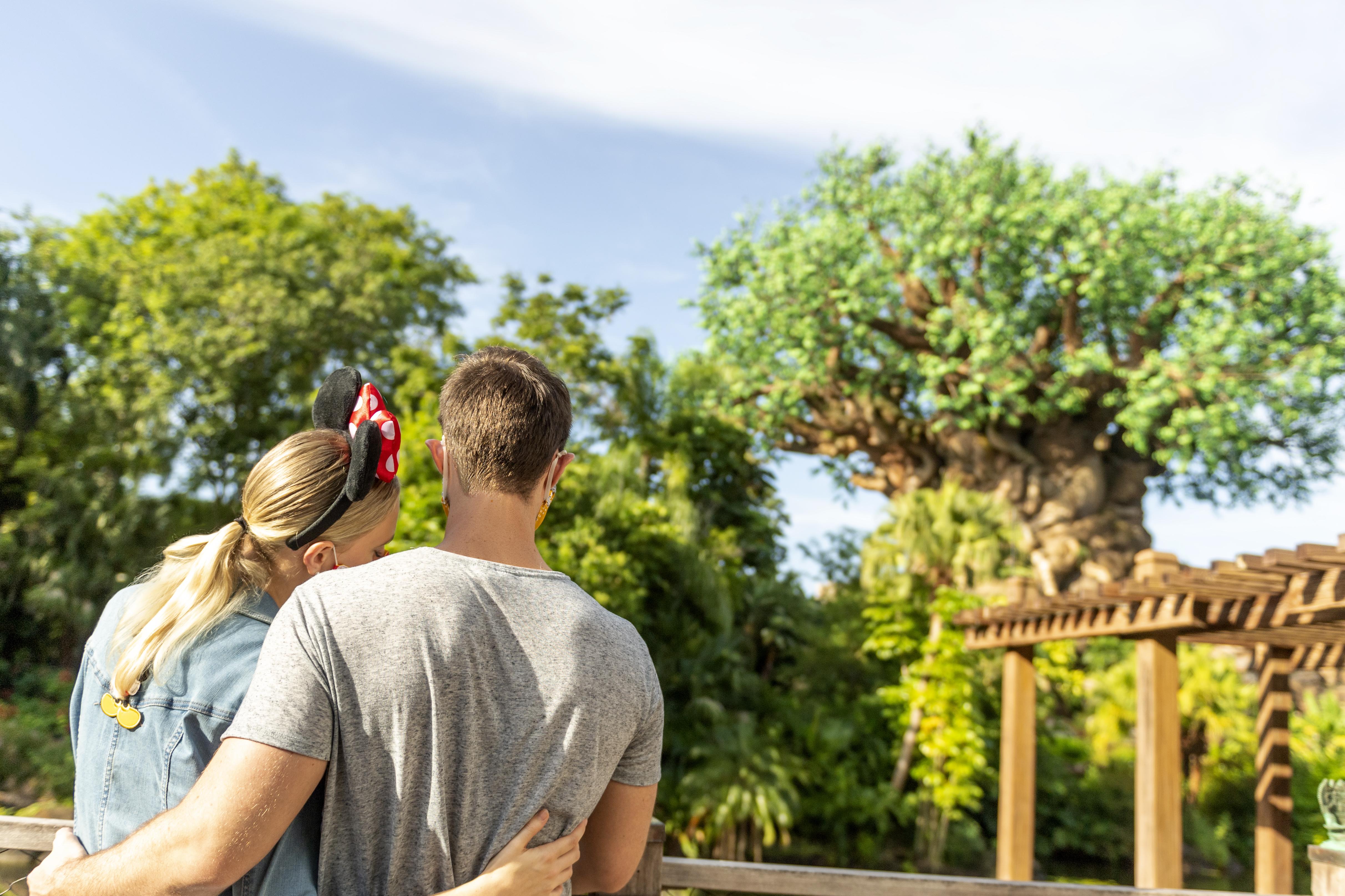 Disney'S Animal Kingdom Lodge Four Corners Luaran gambar