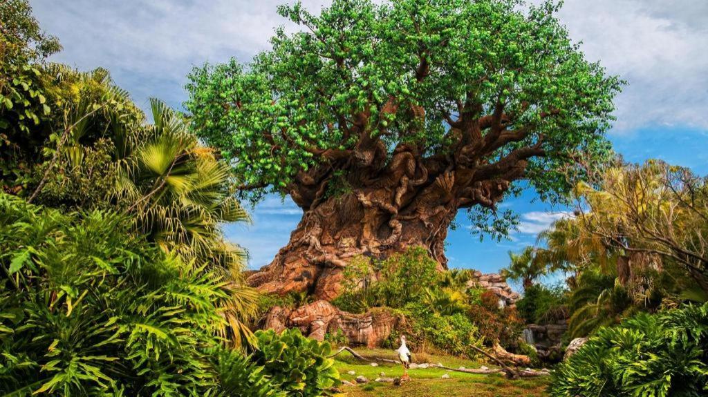 Disney'S Animal Kingdom Lodge Four Corners Luaran gambar
