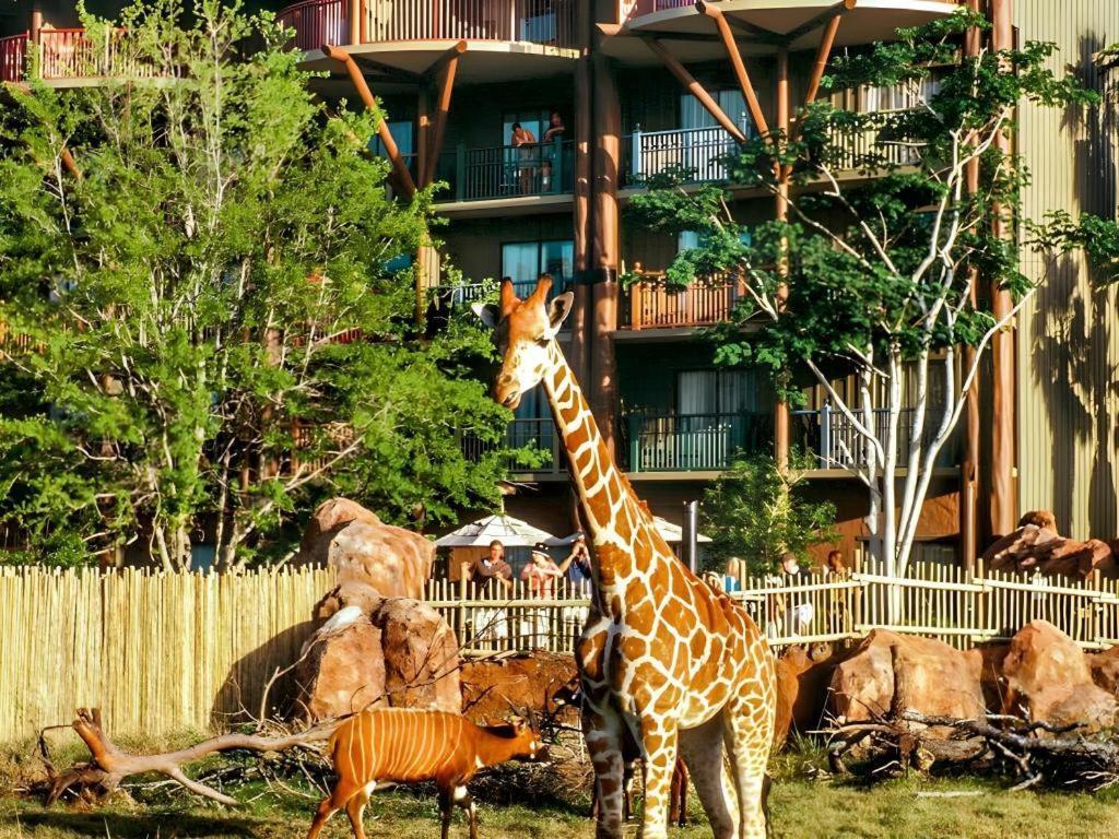 Disney'S Animal Kingdom Lodge Four Corners Luaran gambar