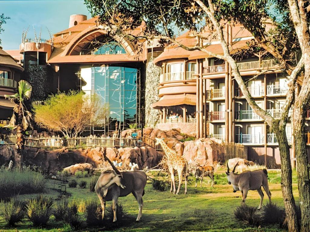 Disney'S Animal Kingdom Lodge Four Corners Luaran gambar