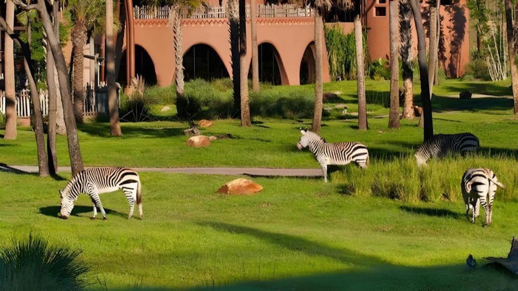Disney'S Animal Kingdom Lodge Four Corners Luaran gambar